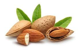 Barefoot Venus Macadamia Nut Oil and Almond Oil Body Cream 225 ML / 8 Oz (Wild Ginger & Sweet Orange)