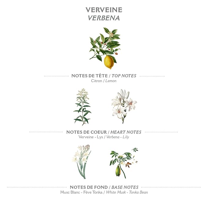 Panier des Sens - Verbena Bar Soap - Moisturizing Gentle Scented Soap Bar - Natural Soap with Sweet Almond - 97% Natural Ingredients Made in France - Vegan Friendly - Body & Hand Soap Bars 2x5.3 oz
