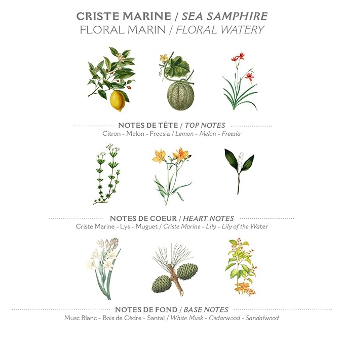 Panier des Sens – Sea Samphire Shower Gel - Foaming Body Wash Women & Men - Moisturizing Body Soap with Shea Oil - 96% Natural Ingredients Body Care - Vegan Liquid Body Wash - 8,45 floz