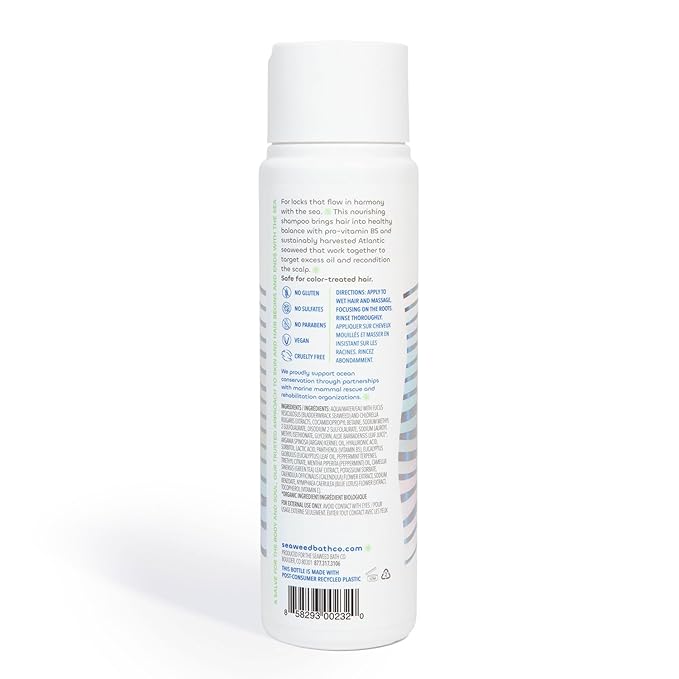 Seaweed Bath Co. Balance Shampoo, Eucalyptus Peppermint Scent, 12 Ounce, Sustainably Harvested Seaweed, Pro Vitamin B5, For Normal to Oily Hair