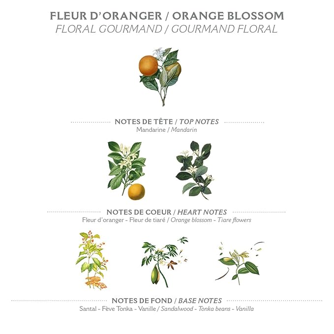 Panier des Sens - Orange Blossom Bar Soap - Moisturizing Scented Soap Bar - Natural Soap with Olive Oil - 97% Natural Ingredients Made in France - Vegan Friendly - Body & Hand Soap Bars 2x5.3 oz