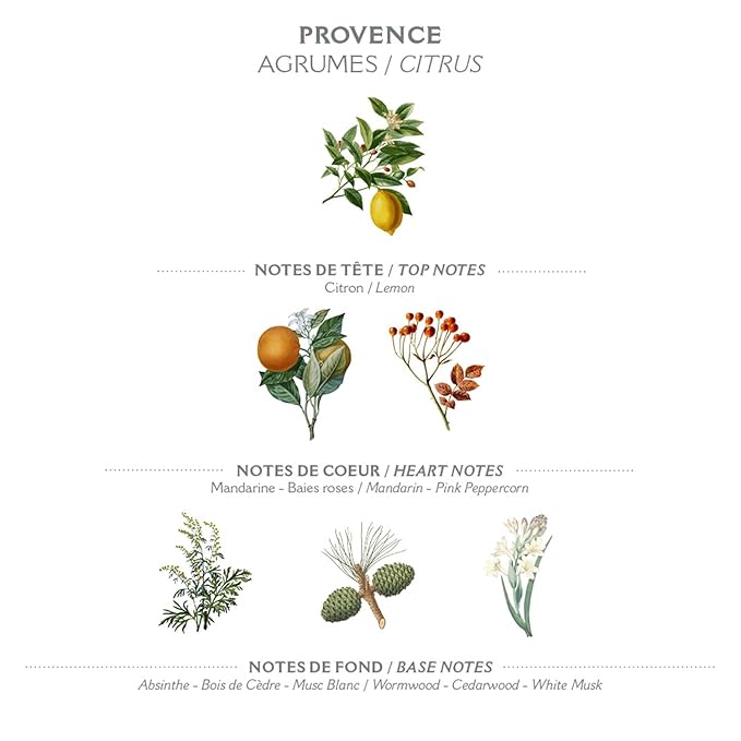 Panier des Sens - Provence Bar Soap - Moisturizing Gentle Scented Soap Bar - Natural Soap with Sweet Almond - 97% Natural Ingredients Made in France - Vegan Friendly - Body & Hand Soap Bars 2x5.3 oz