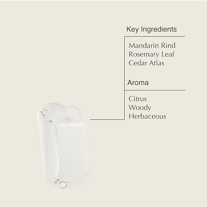 Aesop Resurrection Rinse-Free Hand Wash | Cleanse and Hydrate Without Water | Alcohol Based Formulation | 16.9 oz
