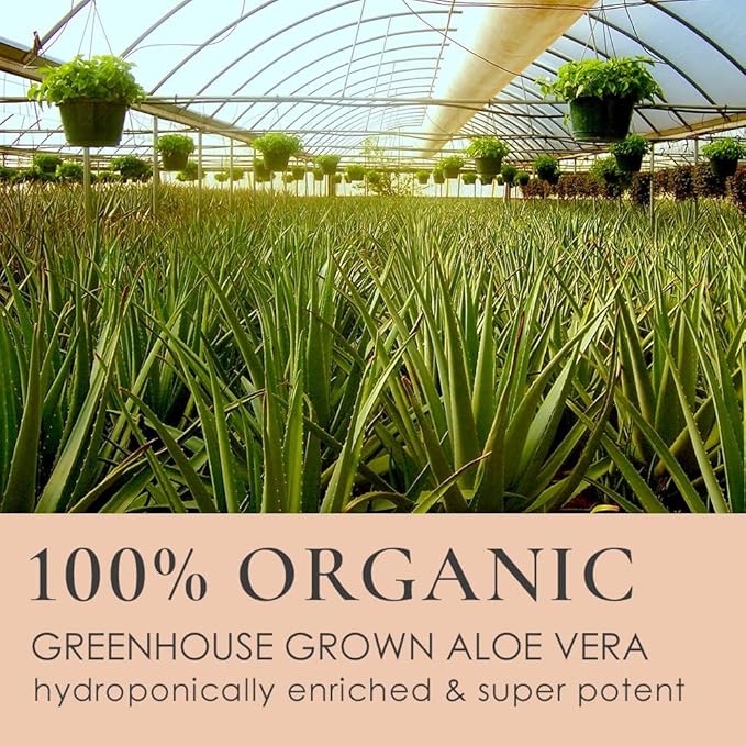 GUNILLA Herbal Face Wash - Very Gentle Daily Cream Cleanser for Dry, Normal, Sensitive Skin. Removes Dirt, Oil & Impurities. Plant-Based. Vegan. Natural. Concentrated 6.7 oz