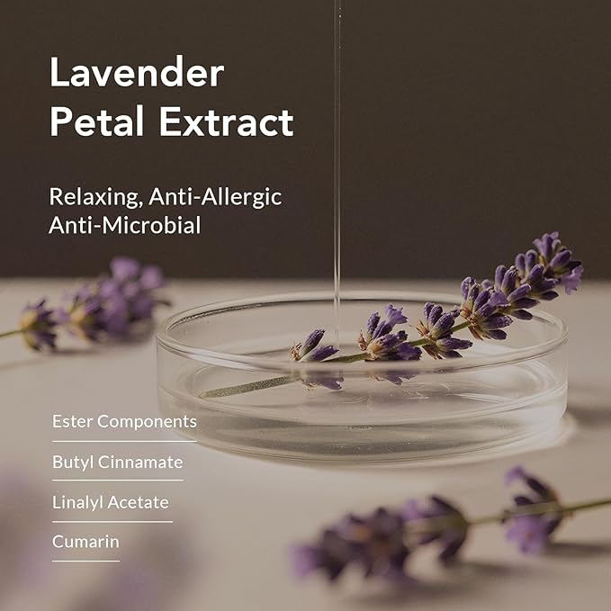 Kustie Lavender Petal Body Wash – Real Provence Petals in Clear Pump Bottle – Antibacterial, Moisturizing & Anti-Acne Shower Gel with Tea Tree Oil, 24HR Floral Scent for Sensitive Skin, 12.8 fl oz