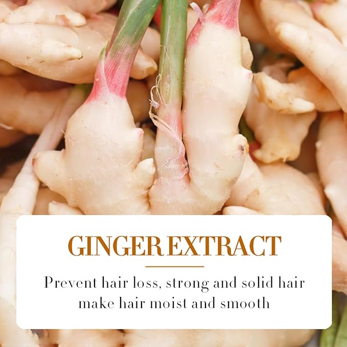 2 PCS Ginger Hair Treatment Oil, Hair Repair and Growth Serum for Dry, Damaged & Coarse Hair, Hair Essential Oil for All Hair Types, 1 Fl. Oz Each