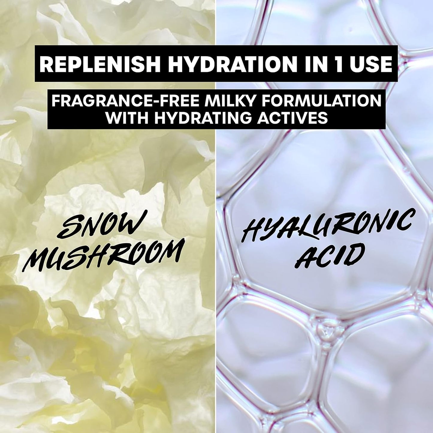Milky Hydrating Face Cleanser with Snow Mushroom & Hyaluronic Acid – Gentle Facial Wash for Dry, Sensitive Skin – Moisturizing, Non-Stripping, Paraben-Free, Fragrance-Free, Dermatologist Recommended – 8 Fl Oz (Clear)