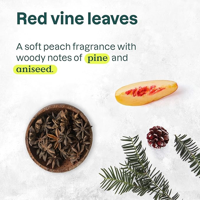ATTITUDE Body Wash, EWG Verified Shower Gel, Dermatologically Tested, Plant and Mineral-Based, Vegan Personal Care Products, Red Vine Leaves, 16 Fl Oz (Pack of 6)