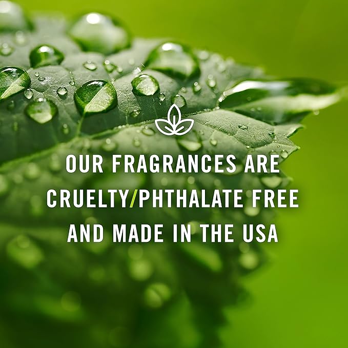 P&J Trading Fragrance Oil Tranquil Set | Vanilla, Cucumber Melon, Lavender, Amber, Bamboo, and Ocean Breeze Candle Scents for Candle Making, Freshie Scents, Soap Making Supplies, Diffuser Oil Scents