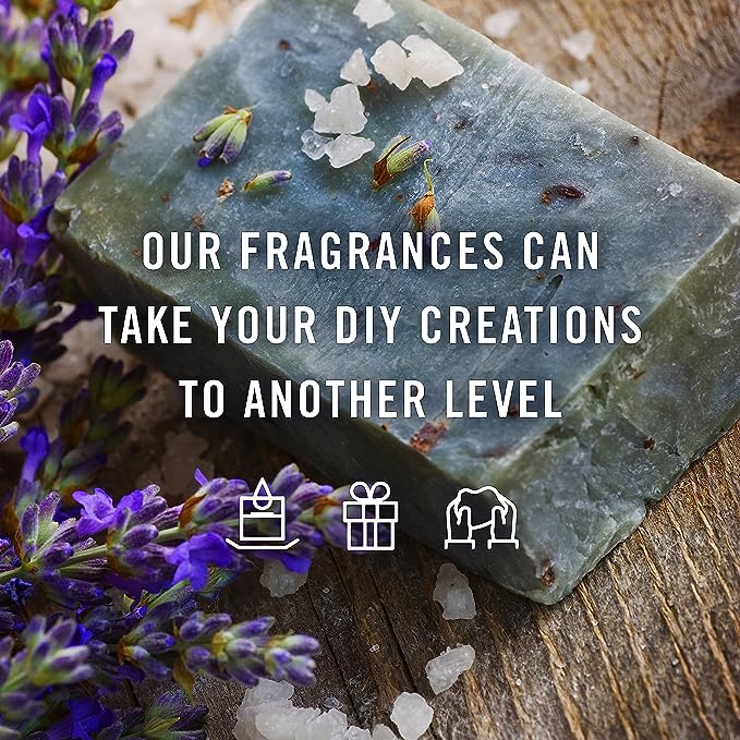 P&J Trading Fragrance Oil Summer Set | Candle Scents for Candle Making, Freshie Scents, Soap Making Supplies, Diffuser Oil Scents