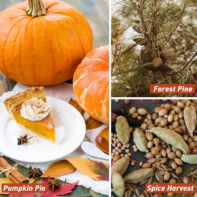 Fall Fragrance Oil, ESSLUX Autumn Essential Oils Set, Soap Candle Making Scents, Fall Scented Essential Oils for Home Diffuser Laundry, Forest Pine, Orange Cinnamon, Pumpkin Pie, Maple Syrup, 6X10 ml