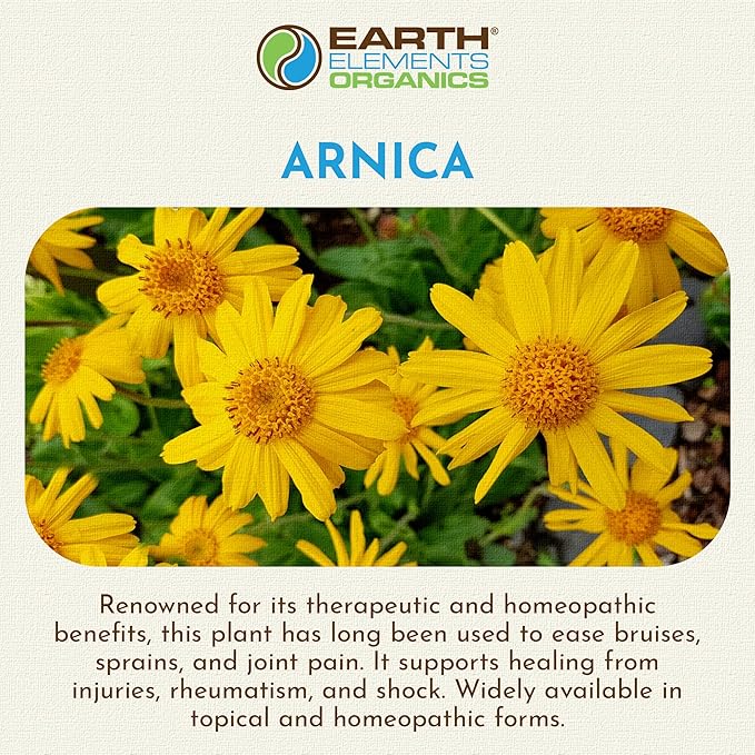Arnica Oil - with Sunflower Seed Oil, Skin Routine for Post Surgery and After Care, Infused Herbal Extract for Face, Body, and Muscle Application, Pressed Formula, 1 fl oz