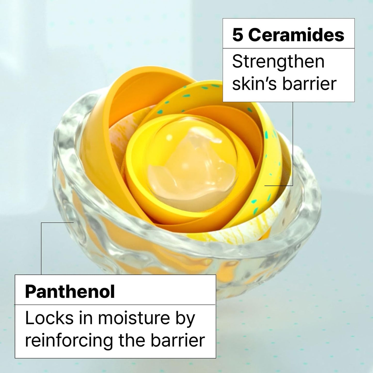 ✨ Ceramidin Moisture Face Cream