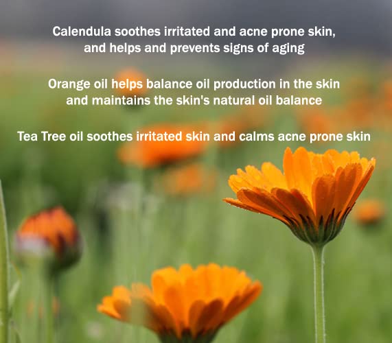 Anti-Aging Face Moisturizer for Oily Skin - Anti Wrinkle Face Cream for Normal to Oily Skin - Hydrating Face Moisturizer to Reduces Fine Lines/Balance Oil Production 1.5 Oz