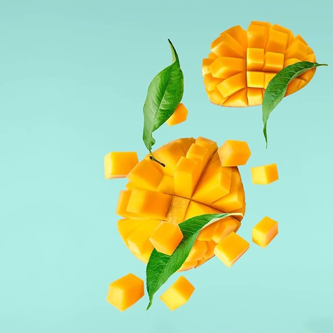 VINEVIDA [128 Fl Oz] Scent NO. 1102 Fragrance Oil for Cold Air Diffusers, Aromatic Notes of Lychee Peony Sandalwood, Essential Oils for Diffuser Oil Refill & Air Freshener Room Spray