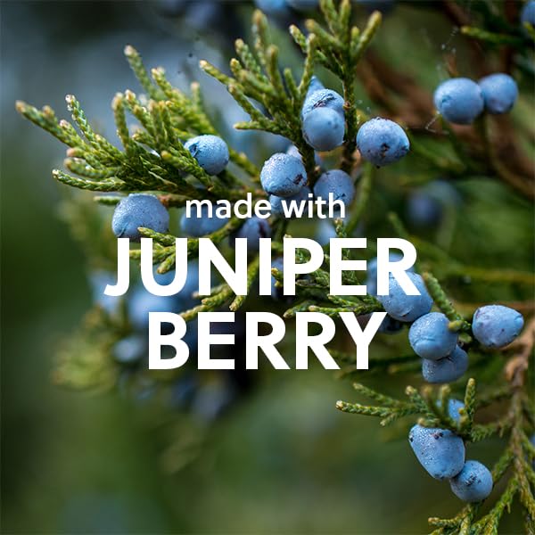 Tree Hut Tropic Blue Musk Wash, Gently Cleanses and Leaves Skin Looking Fresh and Radiant, Body Wash, 18 fl oz