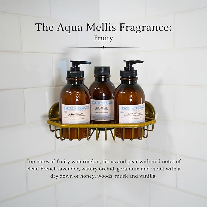 C.O. Bigelow Aqua Mellis Hand Wash, Iconic Collection Liquid Hand Soap with Shea Butter, Glycerin, Aloe Vera, 10.5 Fl Oz