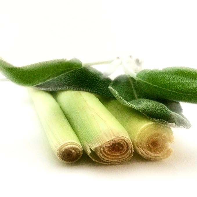 shamarwyn Body Wash, Lemongrass and Sage, Natural, Organic, Hydrating with Aloe Vera, Acaí Fruit Oil 8oz