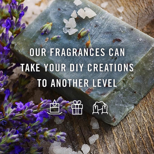 P&J Trading Fragrance Oil Summer Set | Candle Scents for Candle Making, Freshie Scents, Soap Making Supplies, Diffuser Oil Scents