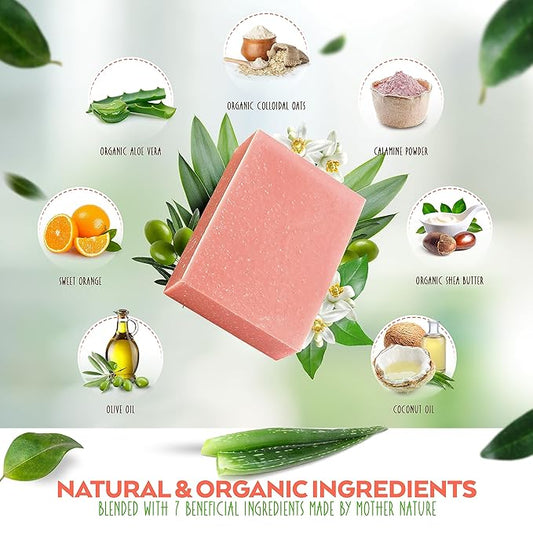 Aloe Vera & Oatmeal Soap Bar with Calamine, Natural & Organic Ingredients - Organic Aloe Vera & Colloidal Oats. Face & Body - for Men, Women & Teens. Gentle Body Wash. 4.5 oz Bar (Pack of 6)